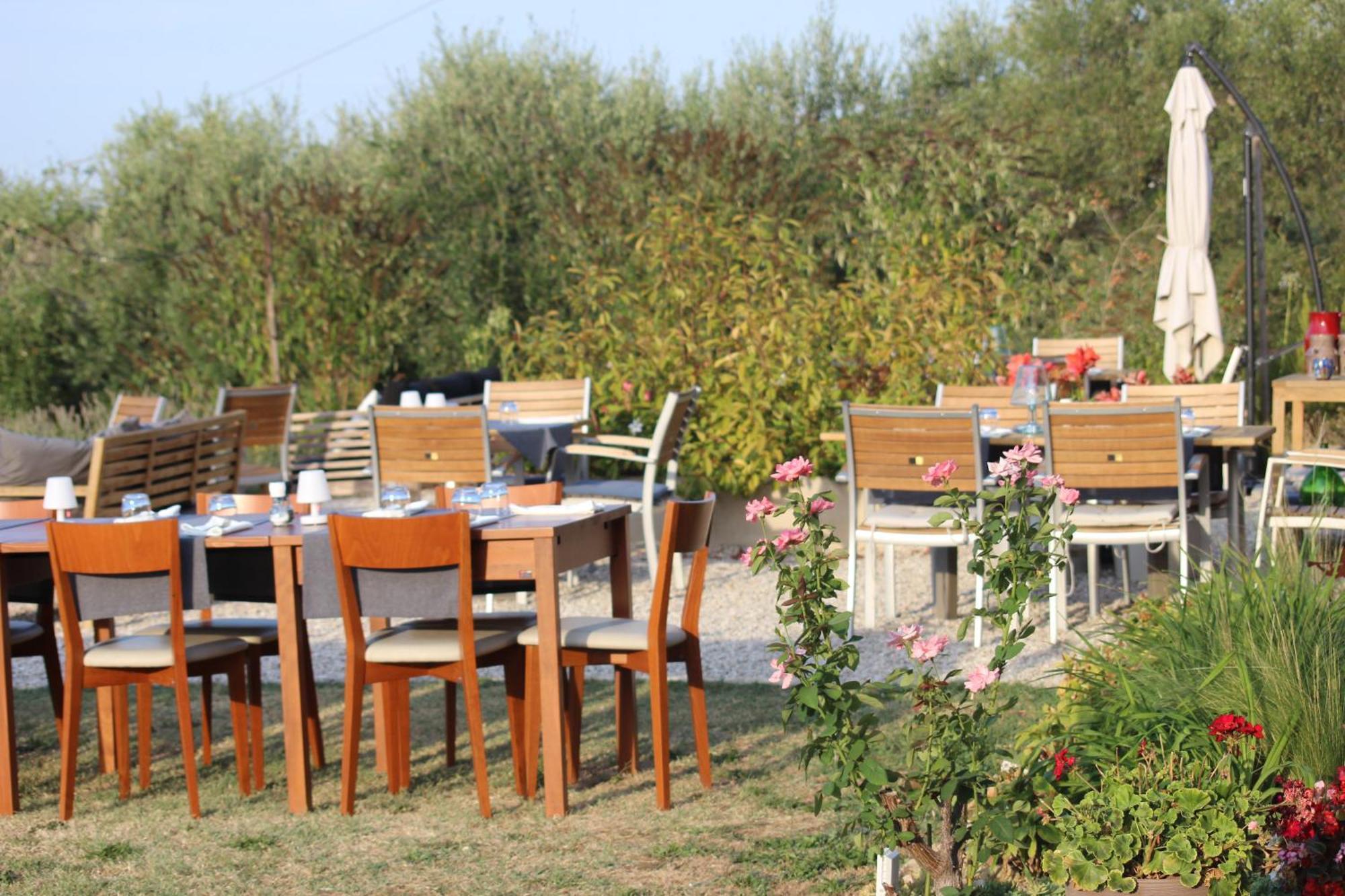 Gastronomic B&B Carlocarla Monte San Pietrangeli Dış mekan fotoğraf